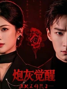 炮灰觉醒，原配不伺候了